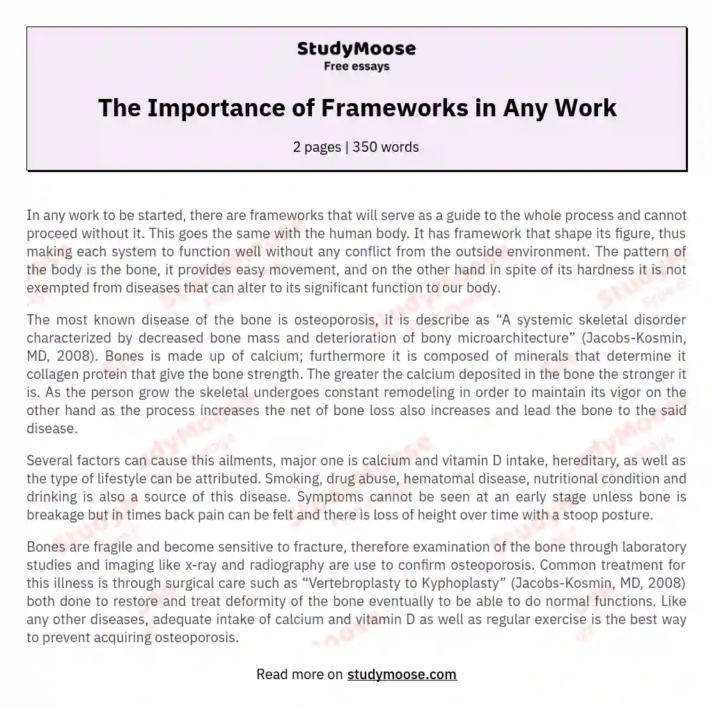 The Importance of Frameworks in Any Work essay