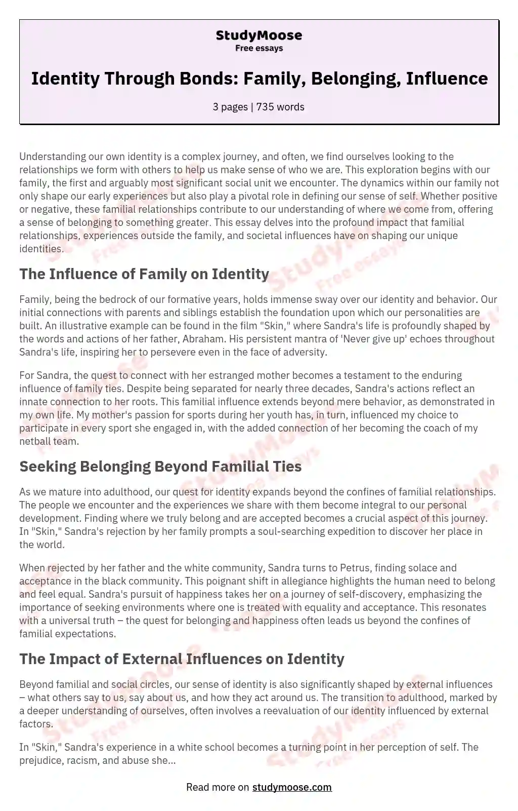 Identity Through Bonds: Family, Belonging, Influence essay