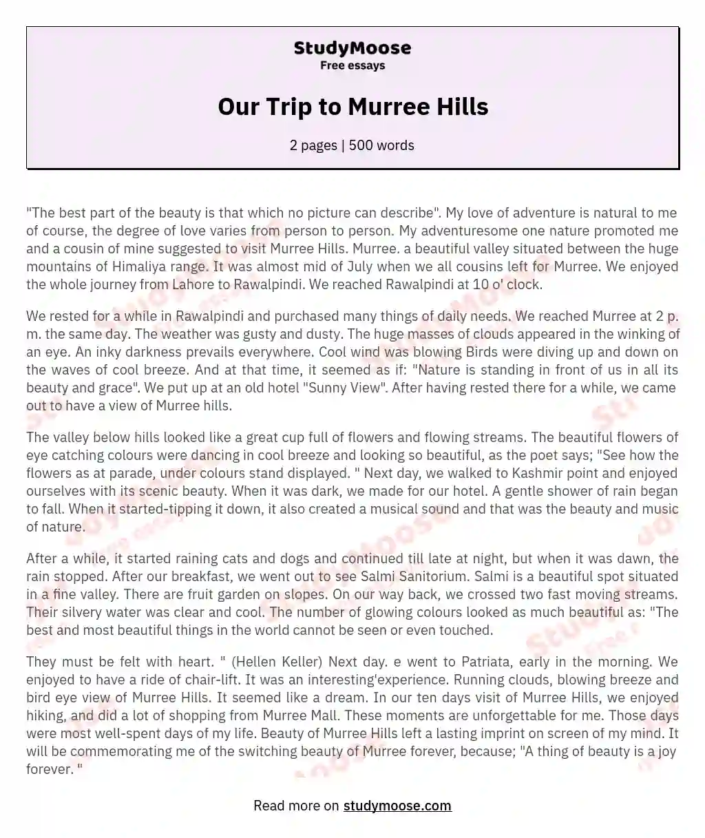 Our Trip to Murree Hills essay