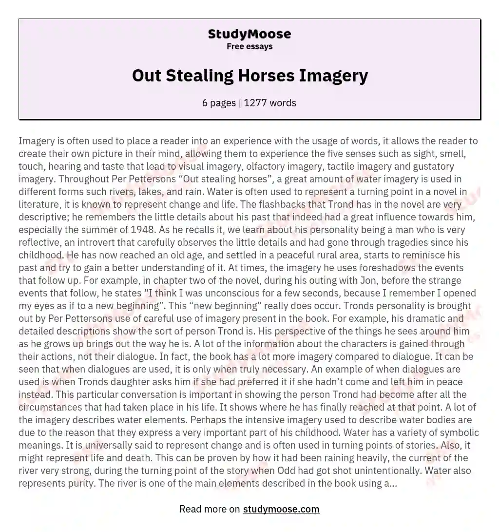 Out Stealing Horses Imagery