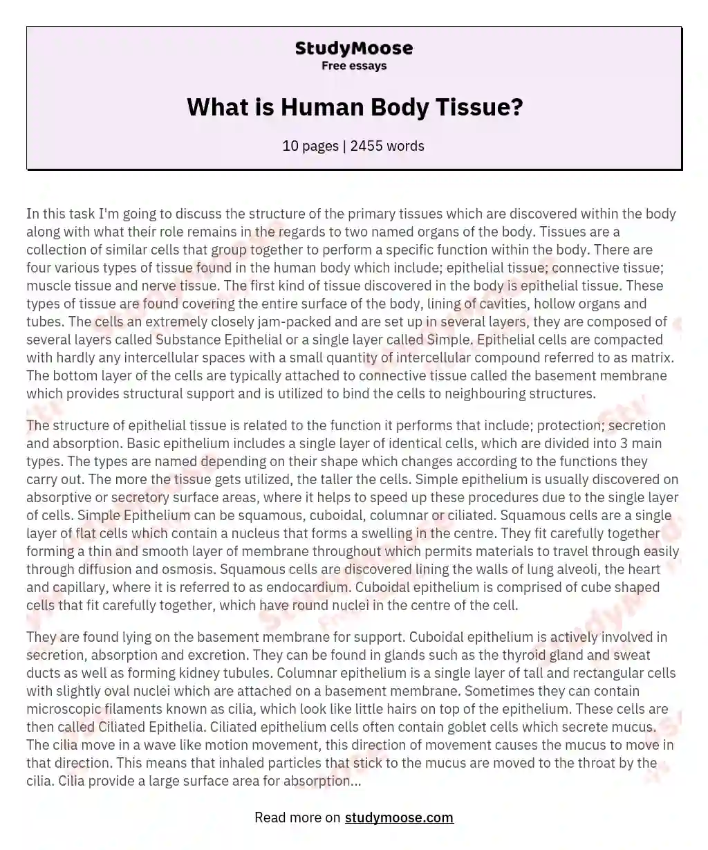 What is Human Body Tissue? essay