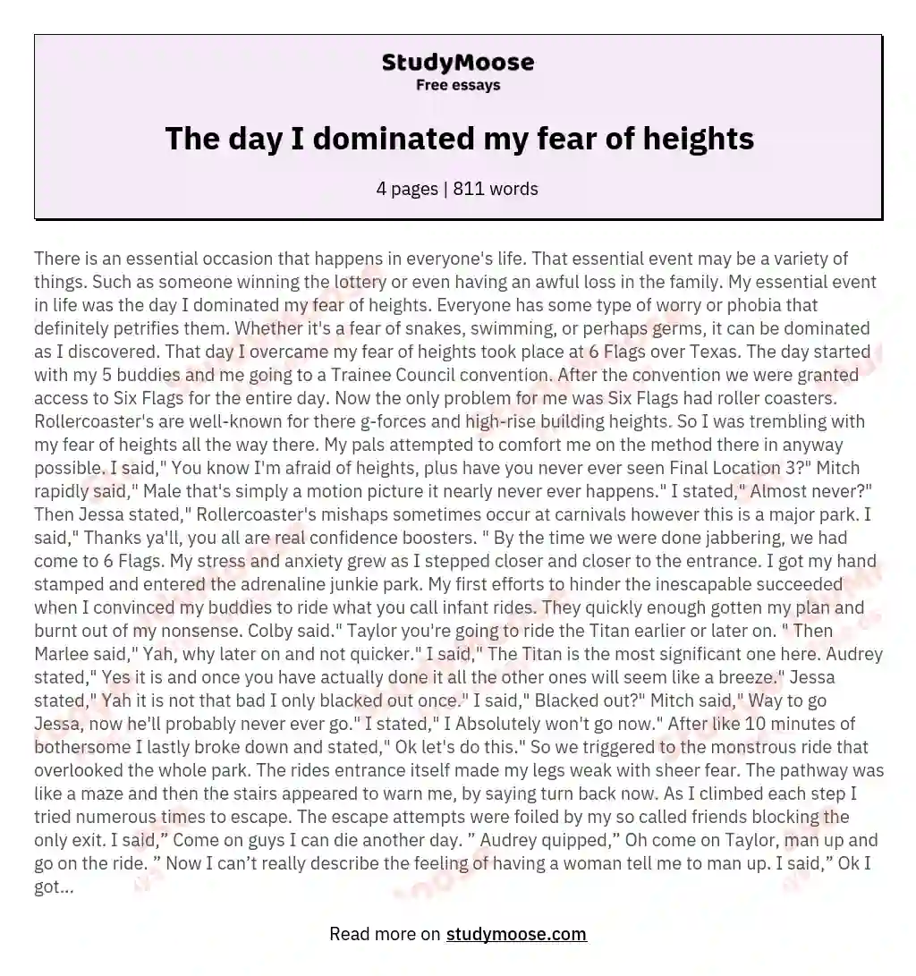 The day I dominated my fear of heights essay