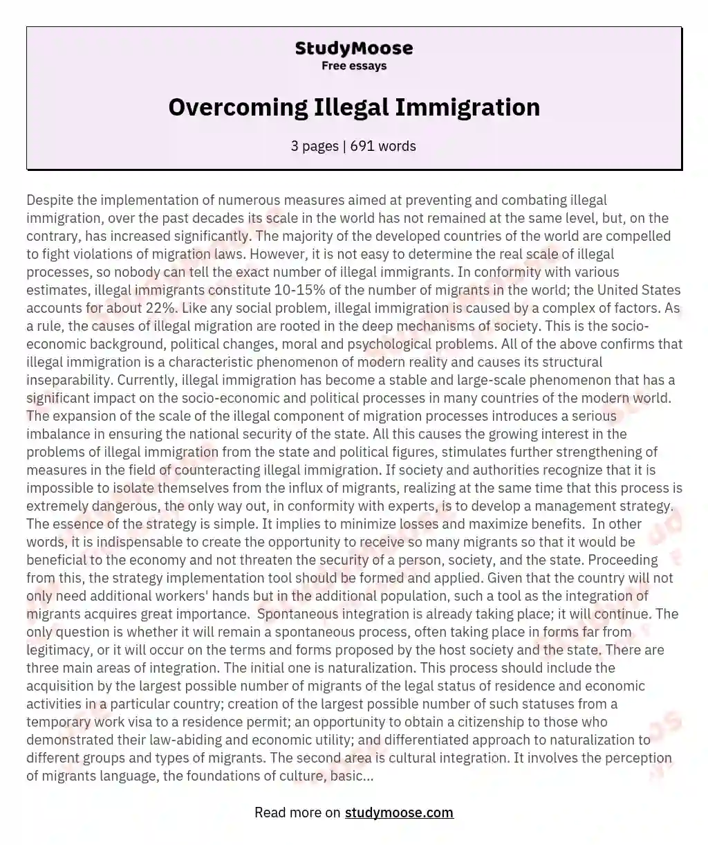 Overcoming Illegal Immigration essay