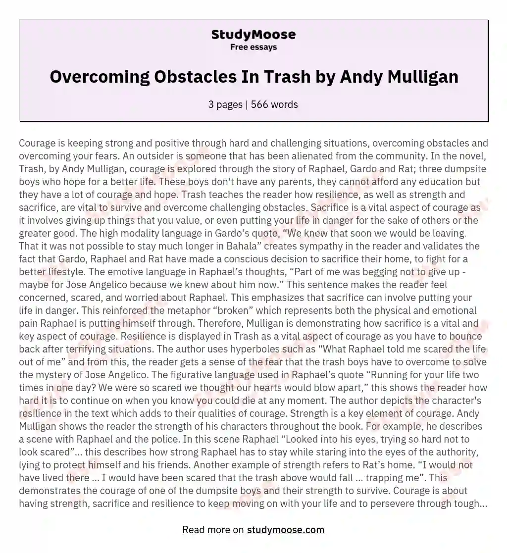 Overcoming Obstacles In Trash by Andy Mulligan essay