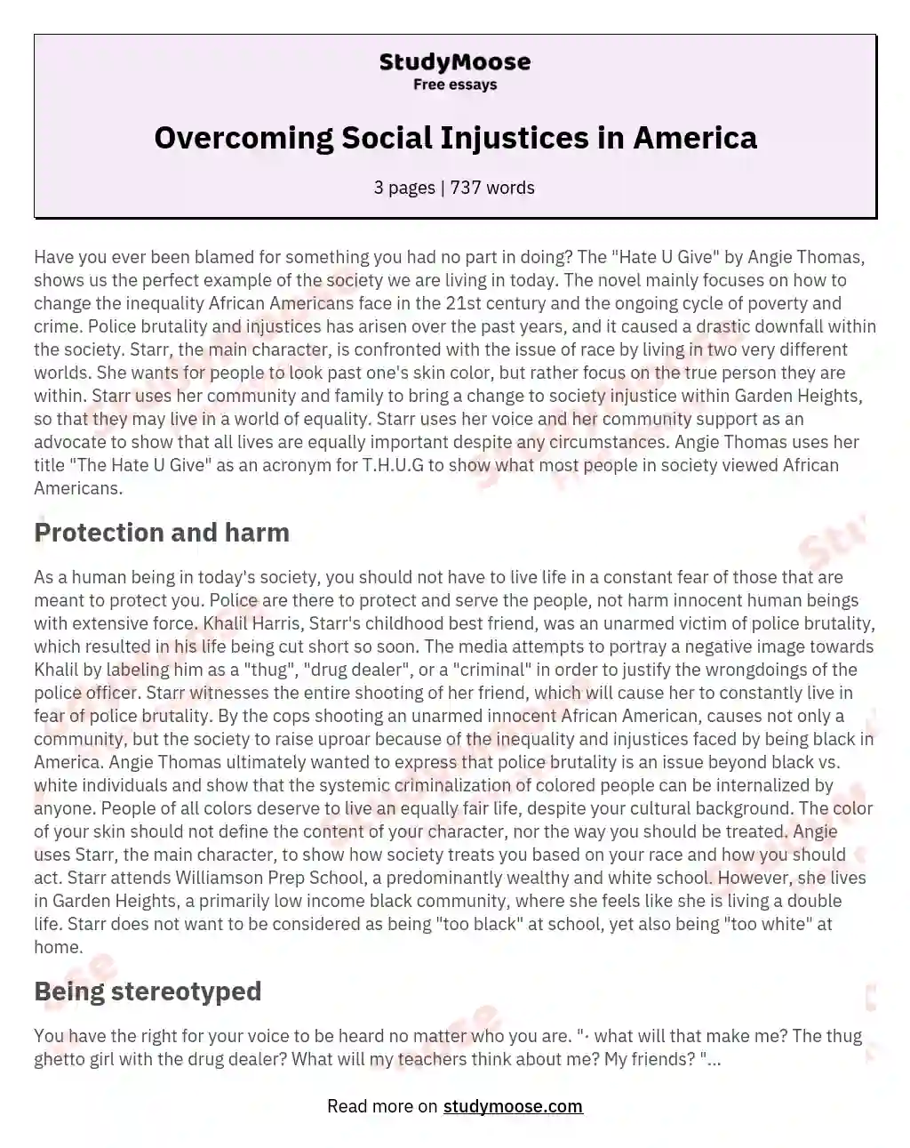 Overcoming Social Injustices in America essay