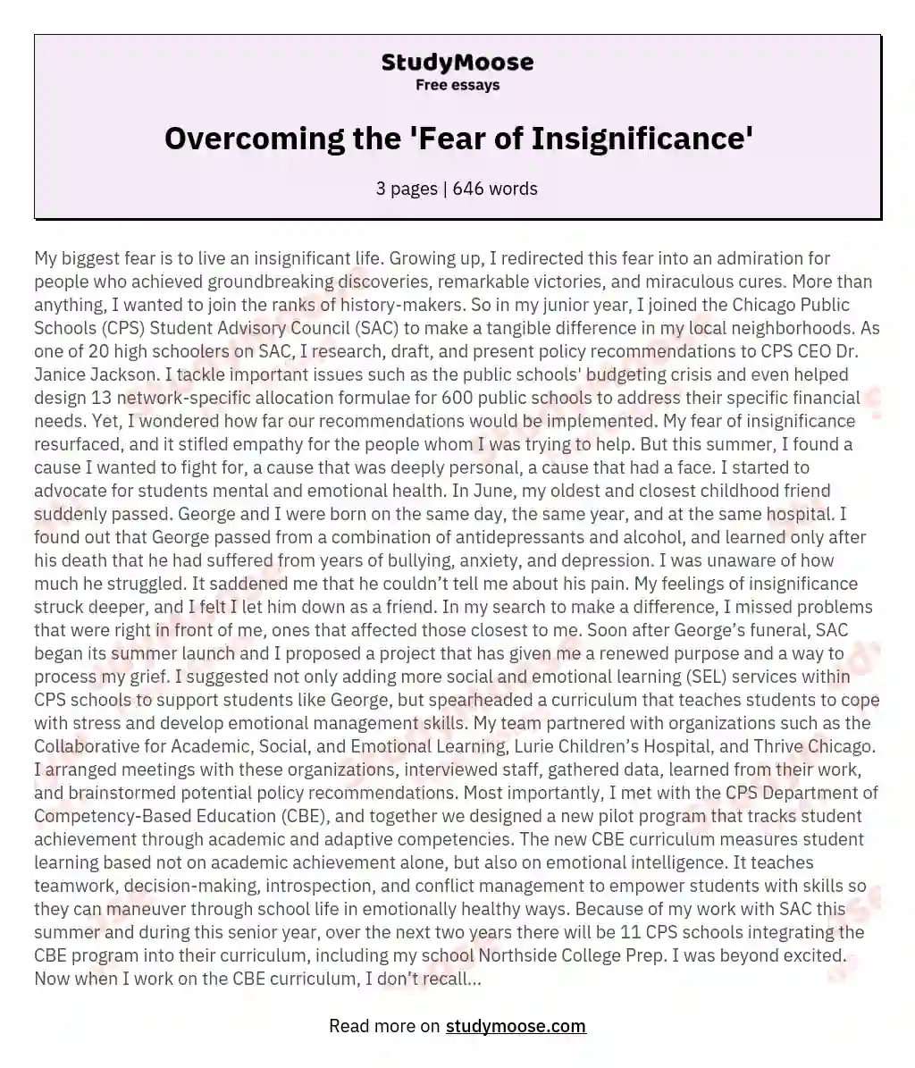 Overcoming the 'Fear of Insignificance' essay