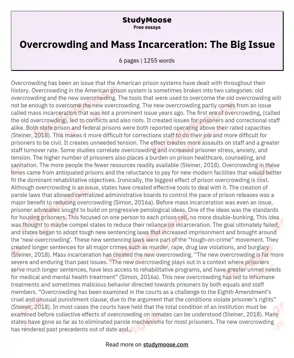 Overcrowding and Mass Incarceration: The Big Issue