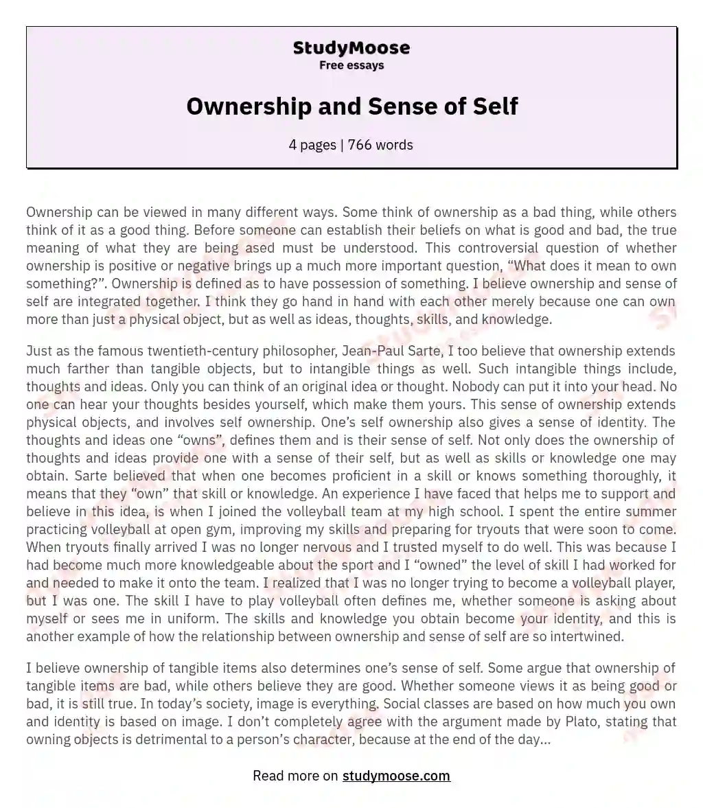 The Nuanced Relationship Between Ownership and Sense of Self essay