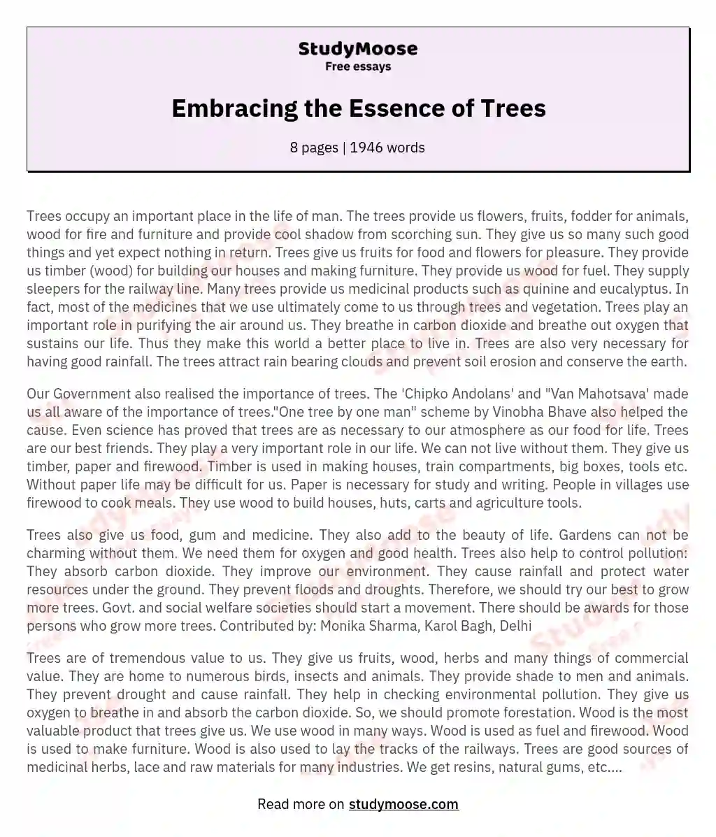 Embracing the Essence of Trees essay