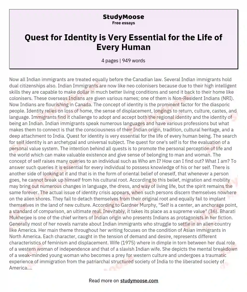Quest for Identity is Very Essential for the Life of Every Human essay