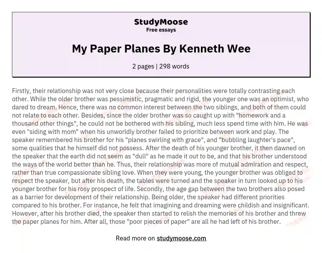 My Paper Planes By Kenneth Wee essay