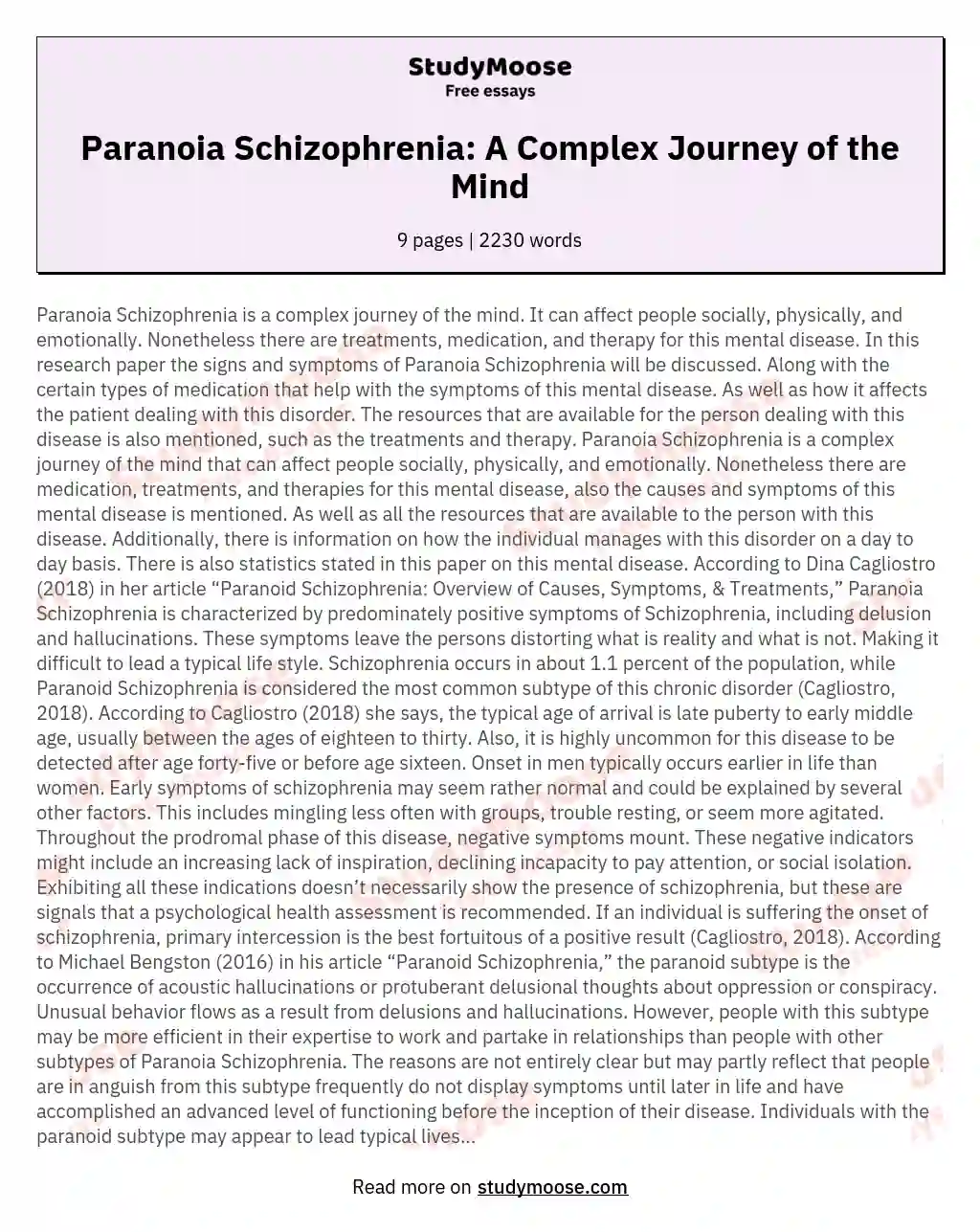 Paranoia Schizophrenia: A Complex Journey of the Mind essay