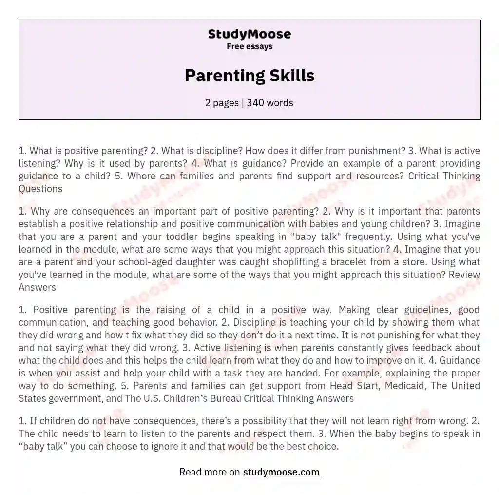 Parenting Skills essay
