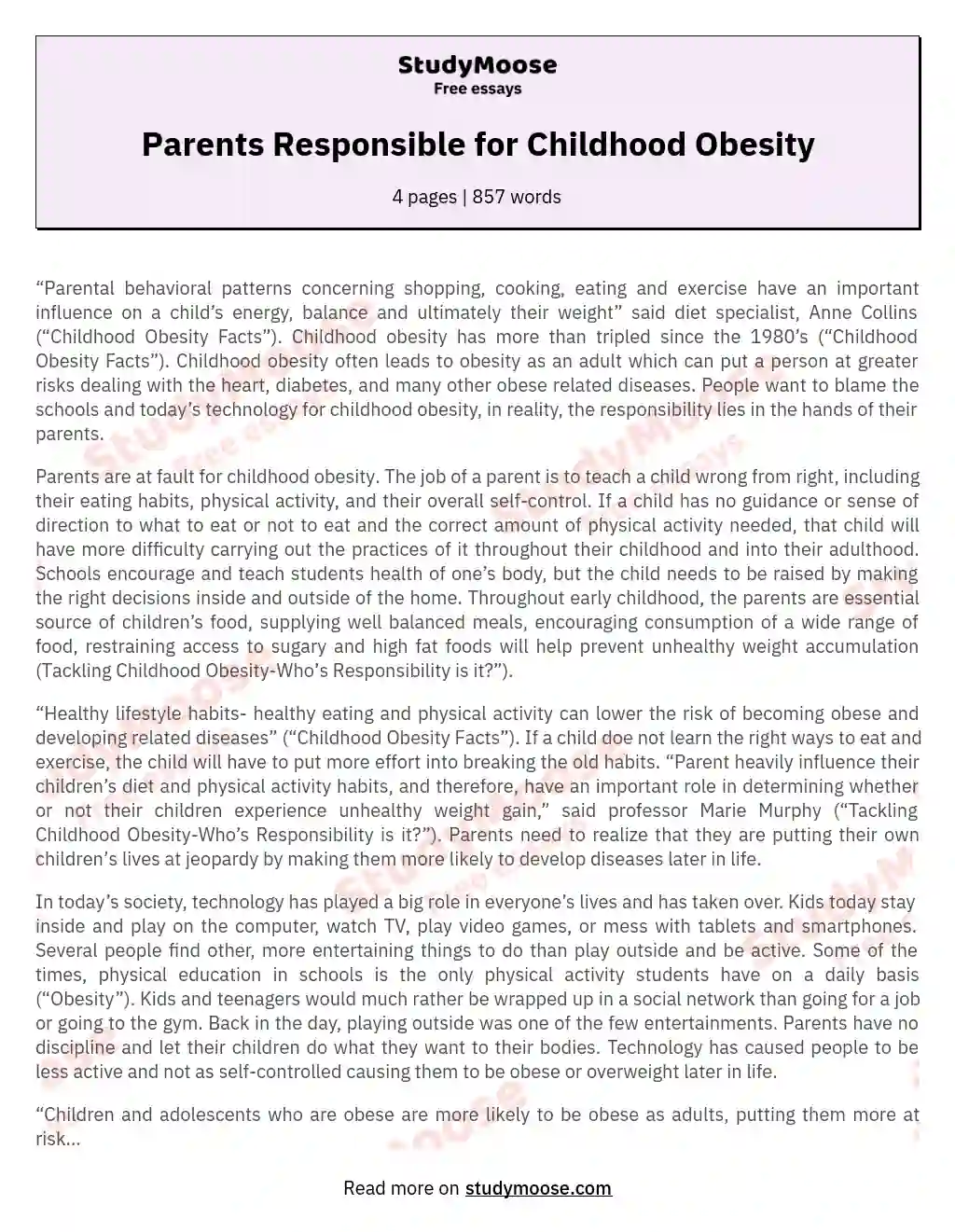 Parents Responsible for Childhood Obesity essay
