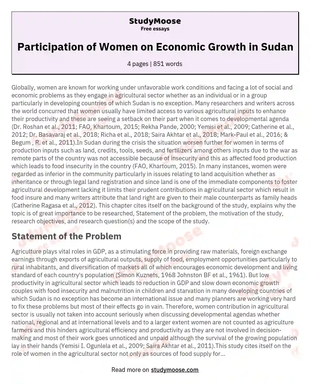 Participation of Women on Economic Growth in Sudan essay
