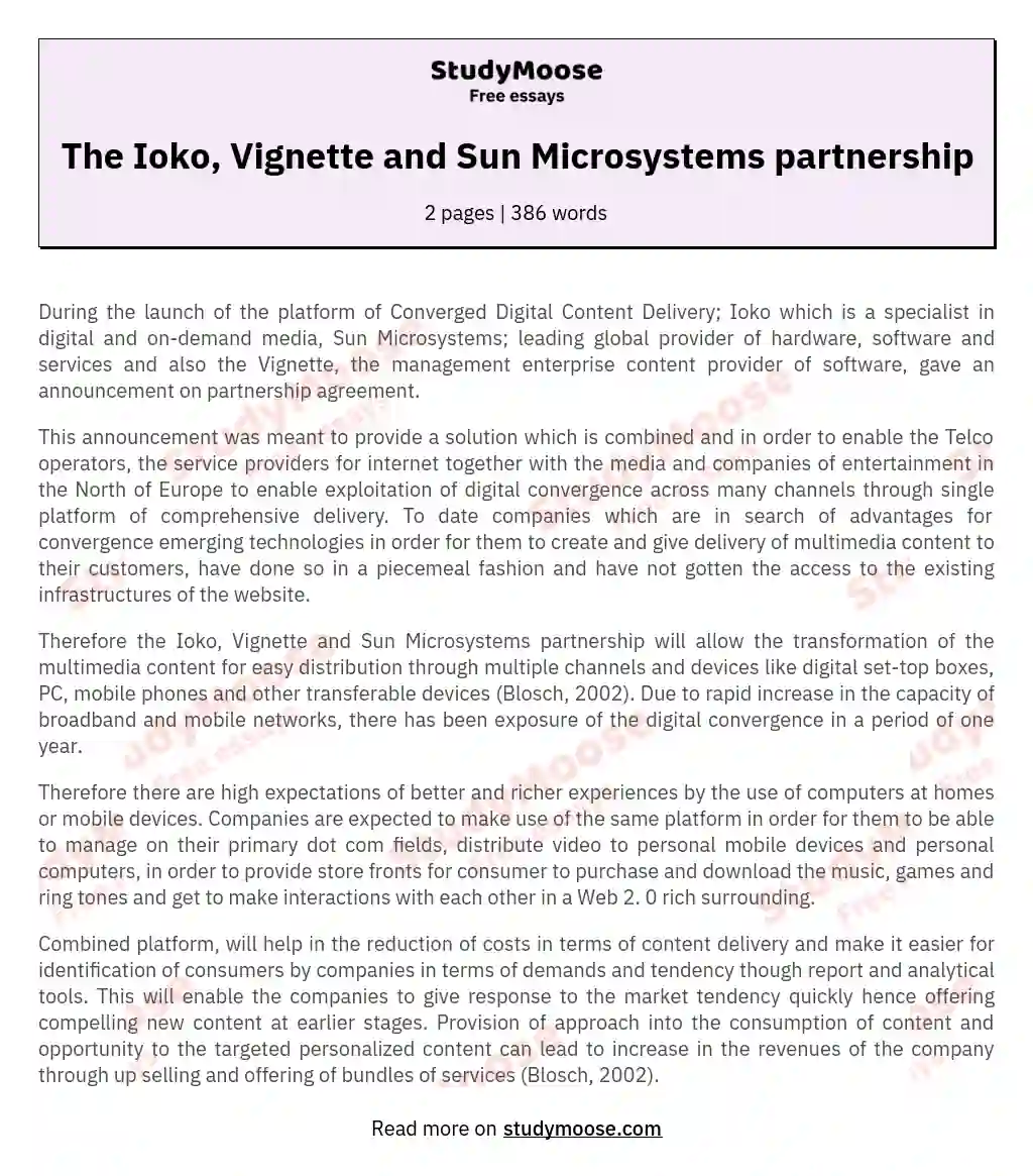 The Ioko, Vignette and Sun Microsystems partnership essay