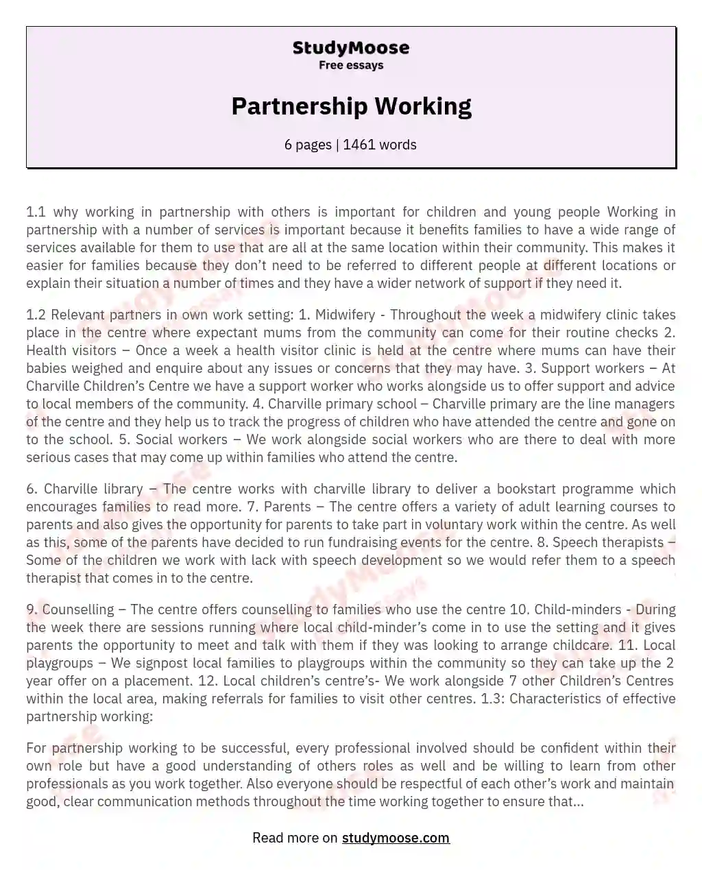 Partnership Working essay
