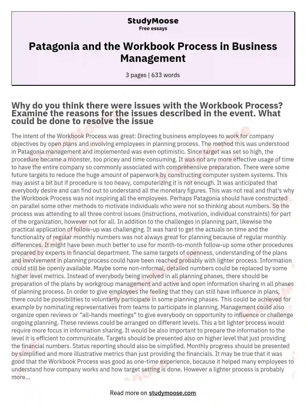 Patagonia and the Workbook Process in Business Management essay