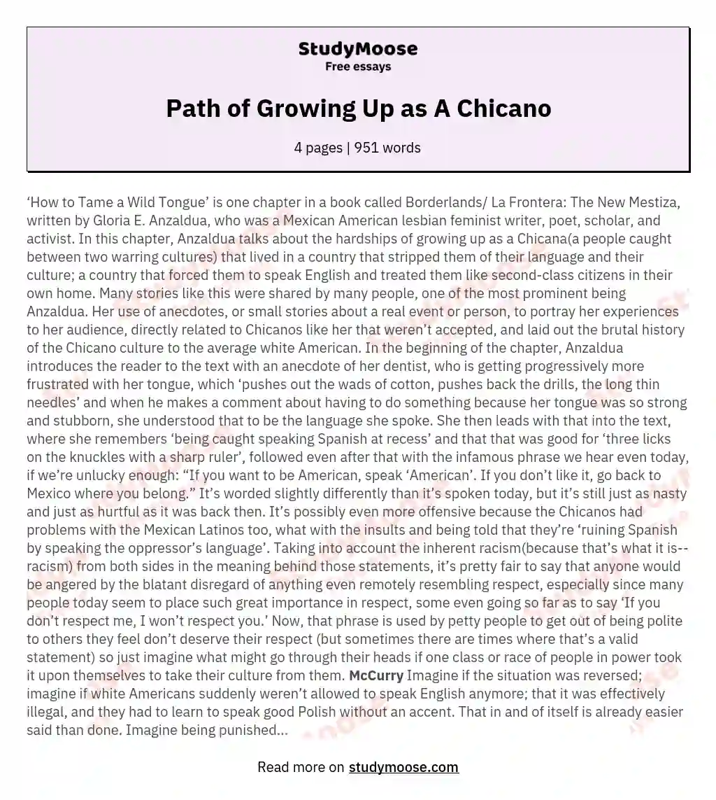 Path of Growing Up as A Chicano essay