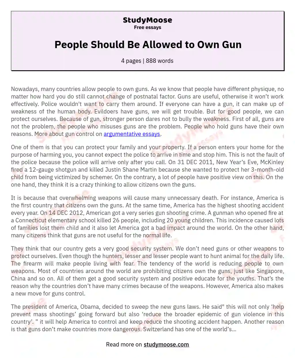 People Should Be Allowed to Own Gun essay