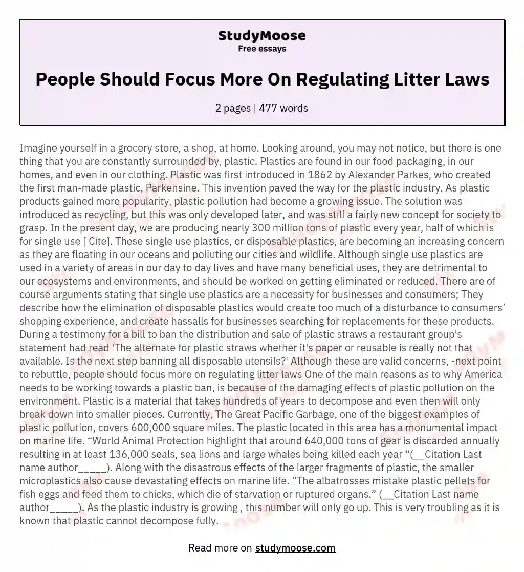 People Should Focus More On Regulating Litter Laws essay