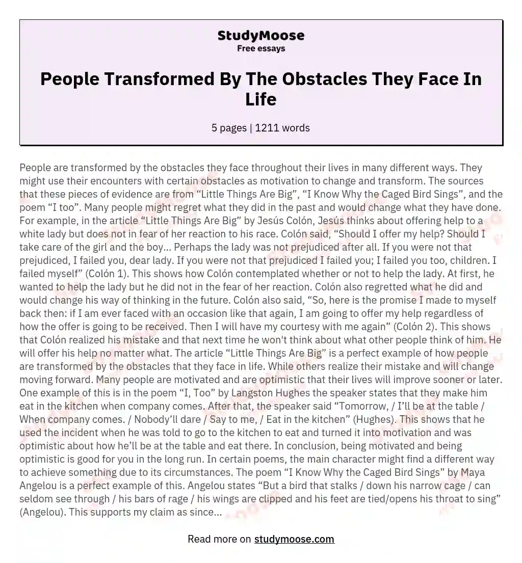 People Transformed By The Obstacles They Face In Life essay
