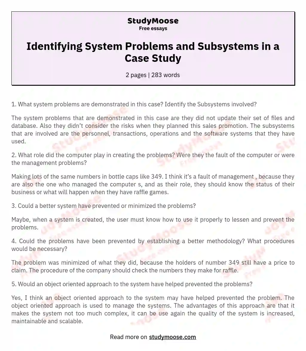 Identifying System Problems and Subsystems in a Case Study essay