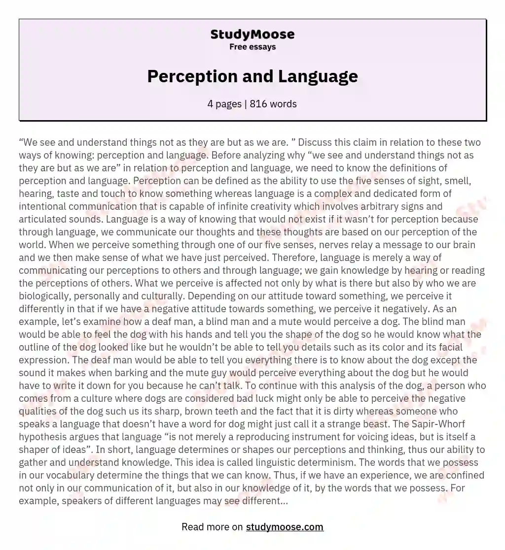 Perception and Language essay