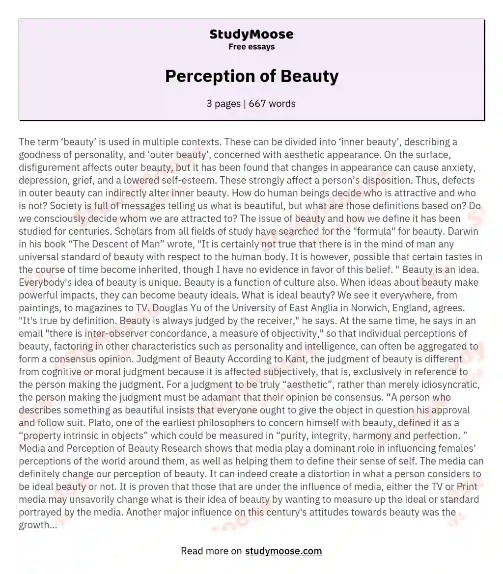 Perception of Beauty essay