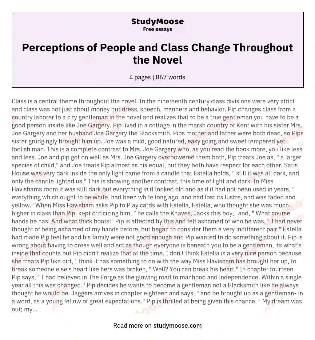 Perceptions of People and Class Change Throughout the Novel essay
