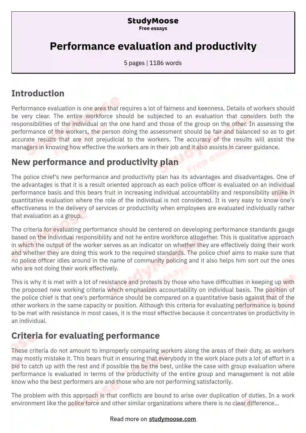 Performance evaluation and productivity essay