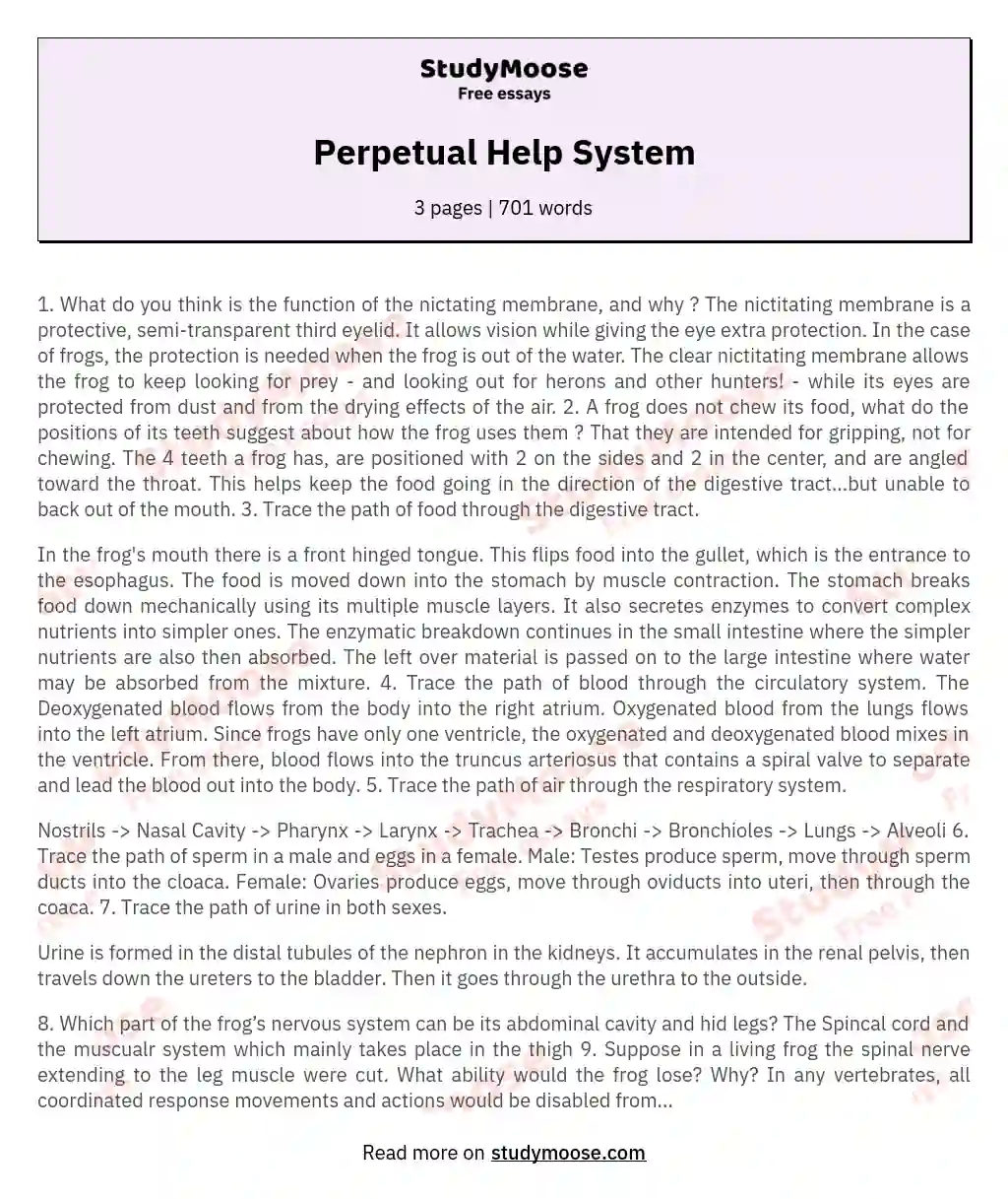 Perpetual Help System essay