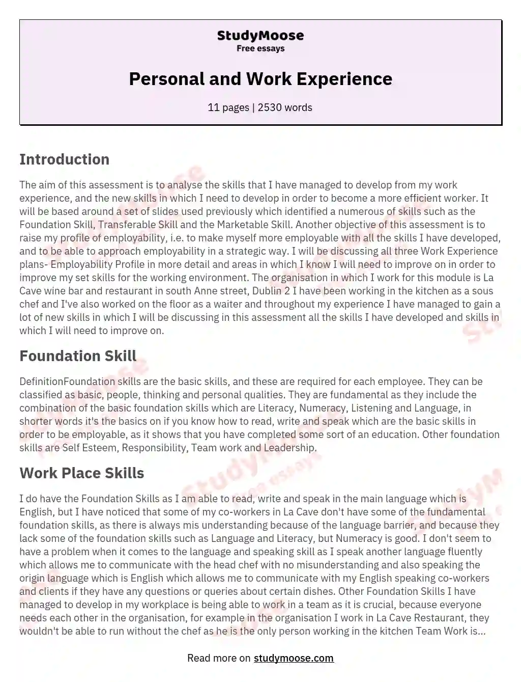 essay about a job experience
