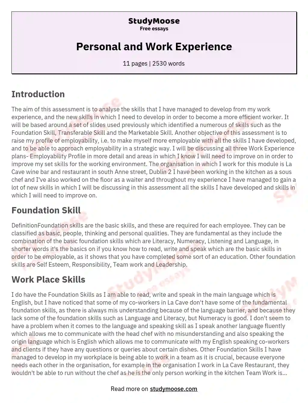 Personal And Work Experience Free Essay Example