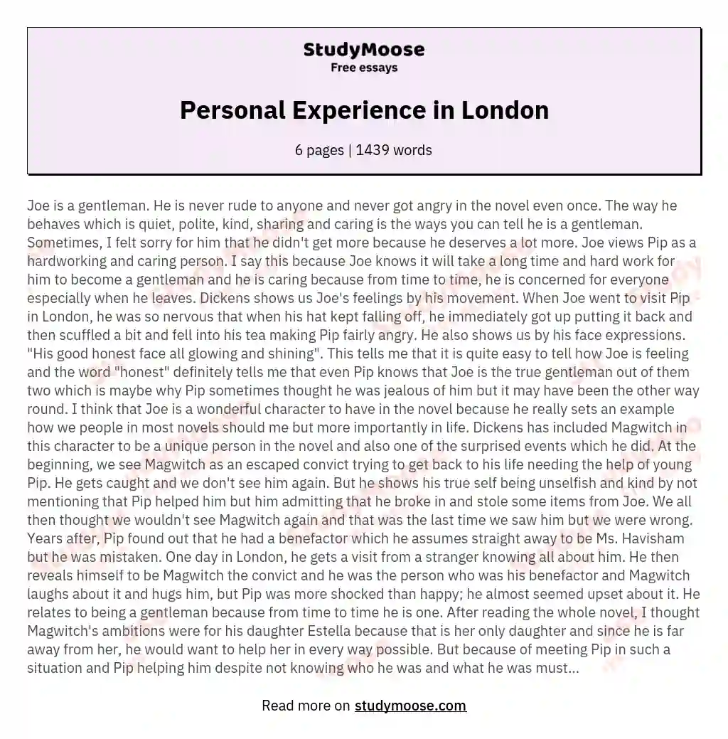 Personal Experience in London essay