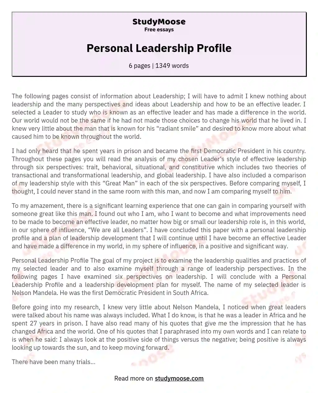 Personal Leadership Profile essay