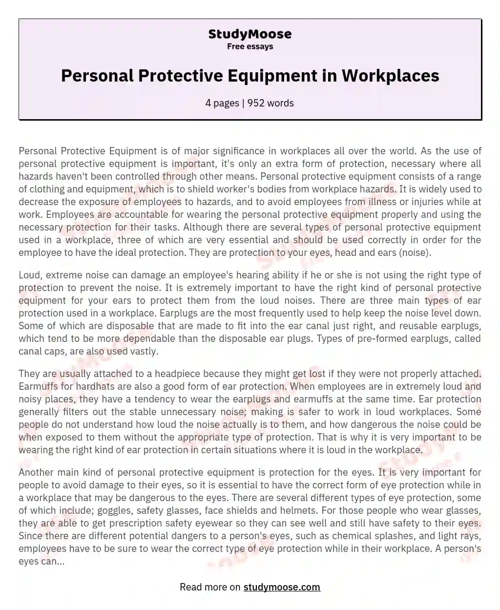 Personal Protective Equipment in Workplaces essay