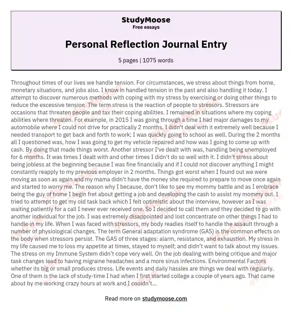 Personal Reflection Journal Entry essay