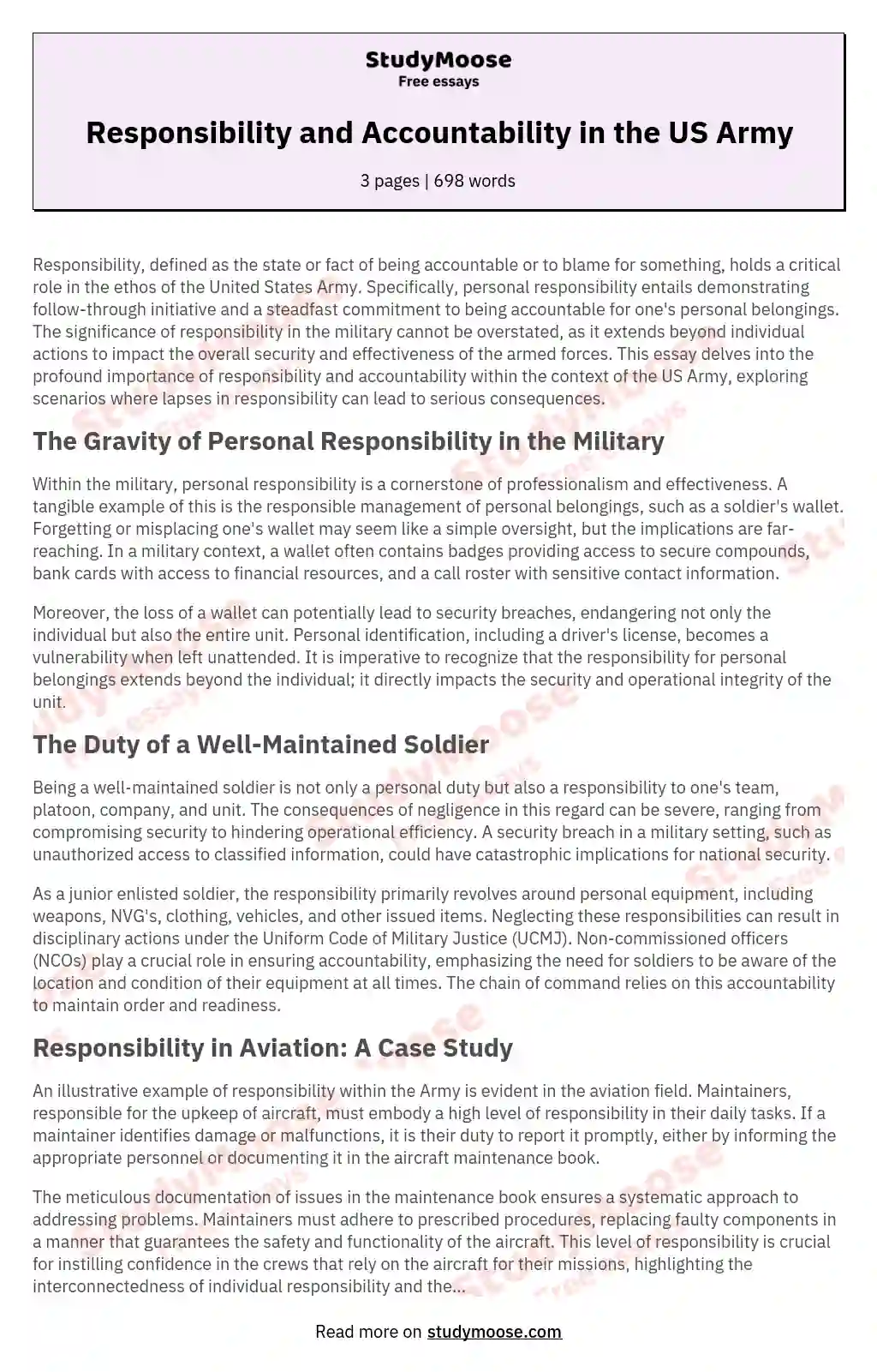 Responsibility and Accountability in the US Army essay