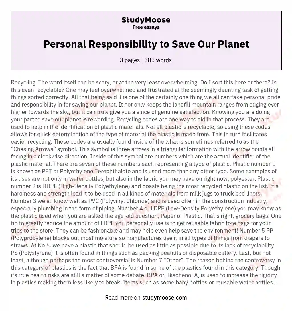 Personal Responsibility to Save Our Planet essay