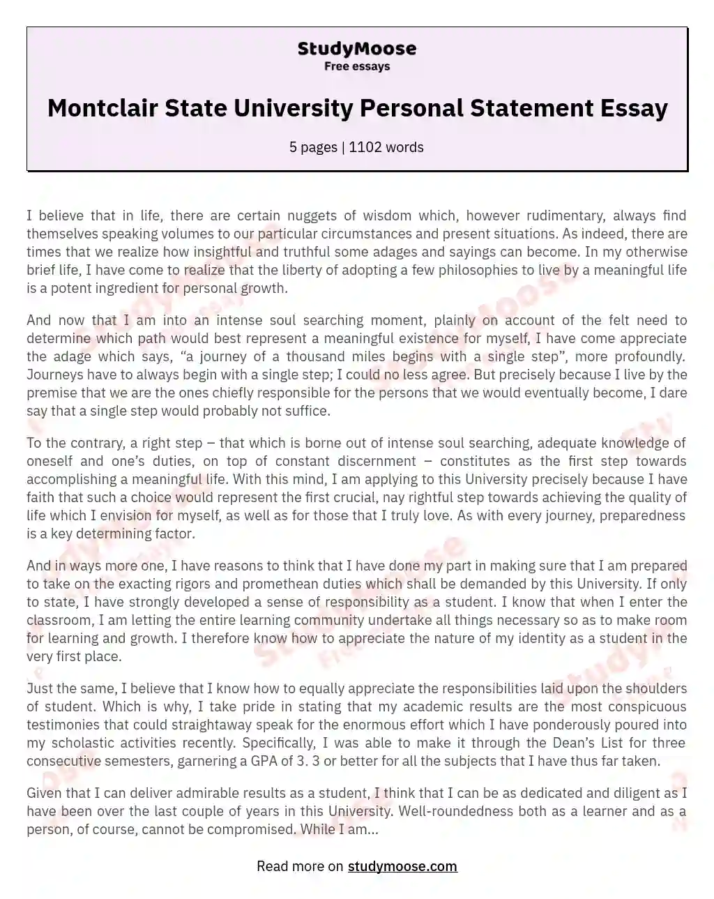Montclair State University Personal Statement Essay essay