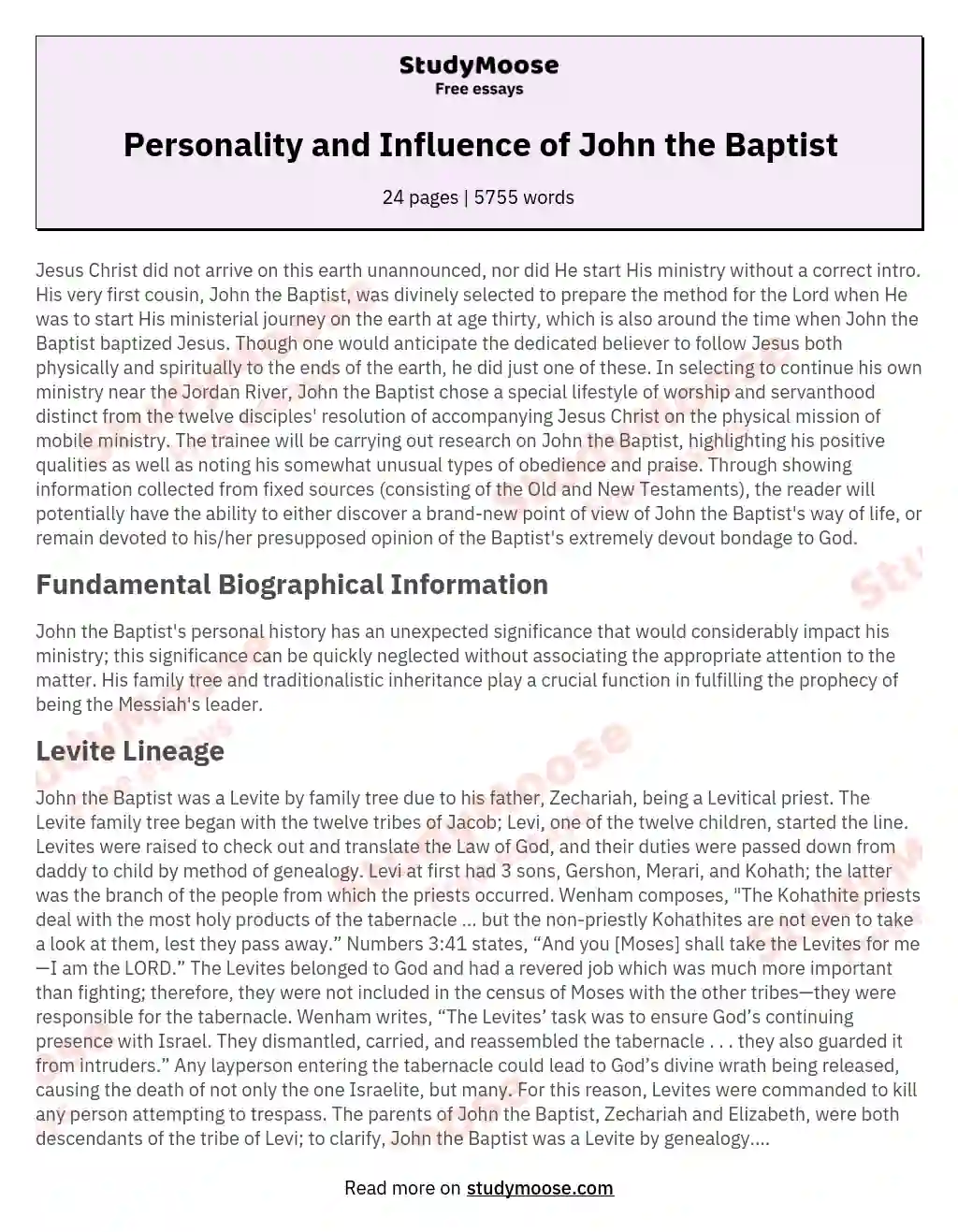 Personality and Influence of John the Baptist essay