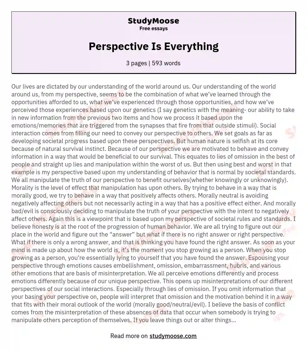 Perspective Is Everything essay