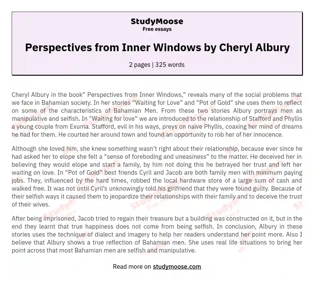 Perspectives from Inner Windows by Cheryl Albury essay