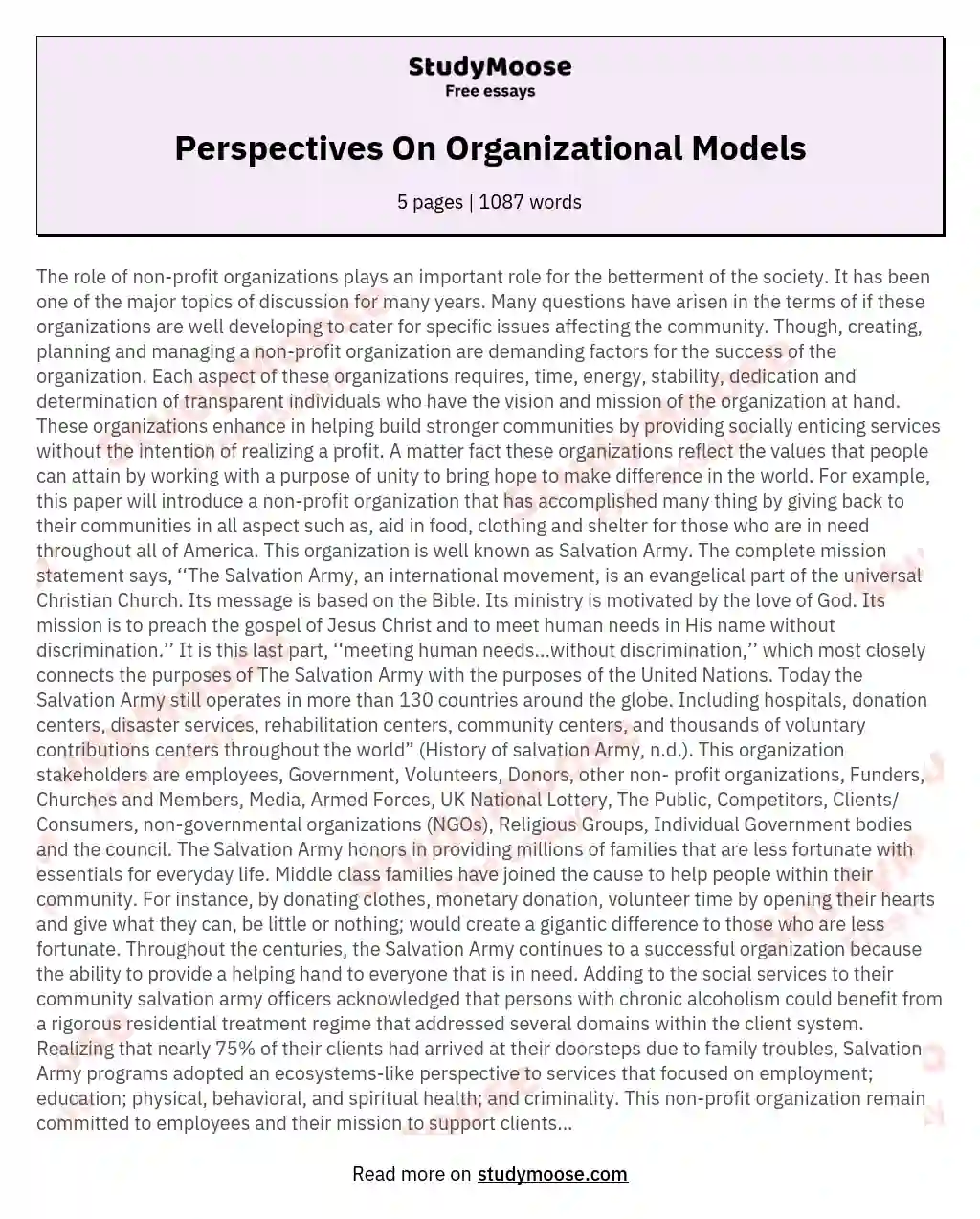 Perspectives On Organizational Models essay
