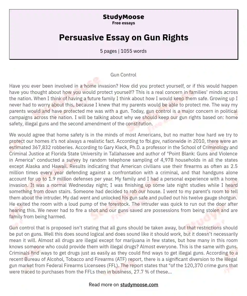Persuasive Essay on Gun Rights essay