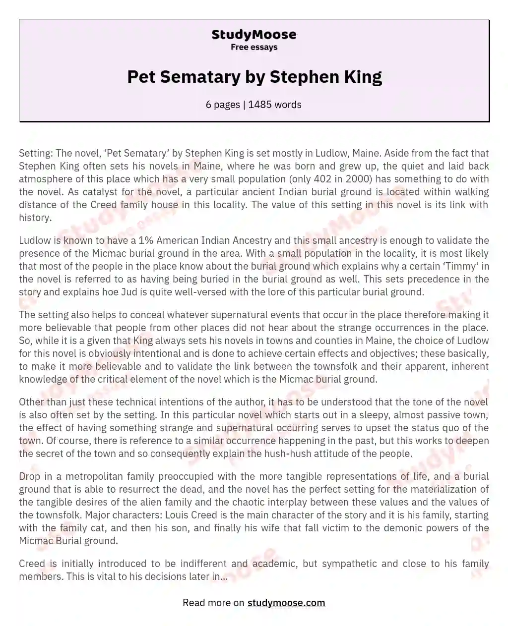 Pet Sematary by Stephen King essay
