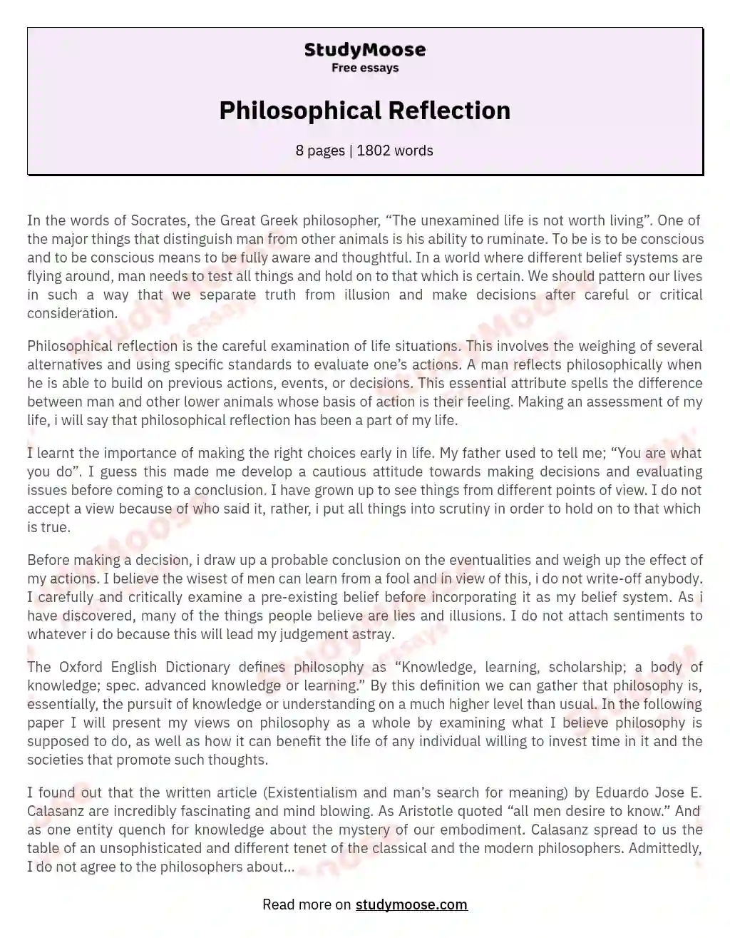Philosophical Reflection essay