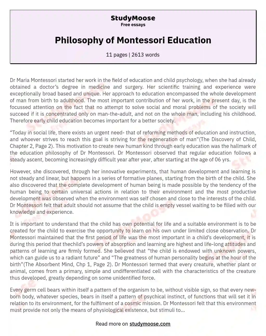Philosophy of Montessori Education essay