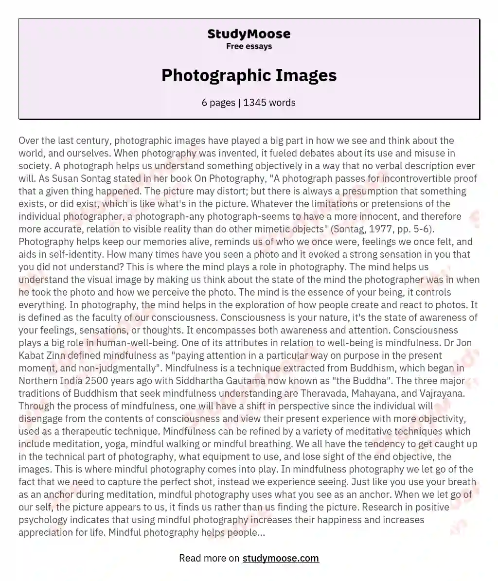 Photographic Images essay